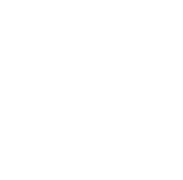 Palion Style